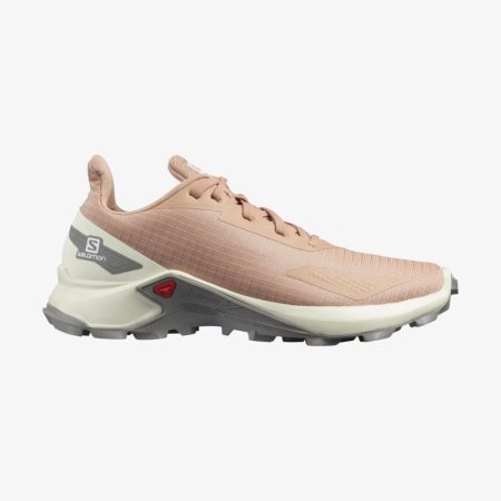 Salomon ALPHACROSS BLAST Brune Terrengløpesko Dame [NO 0-HAU]